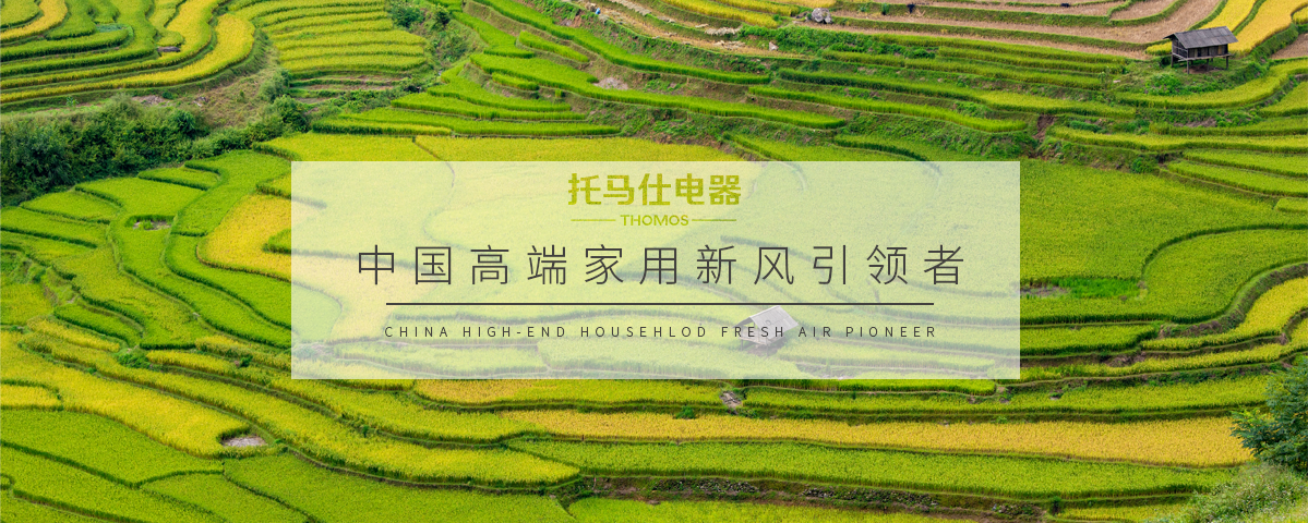 正版资料全年资料大全