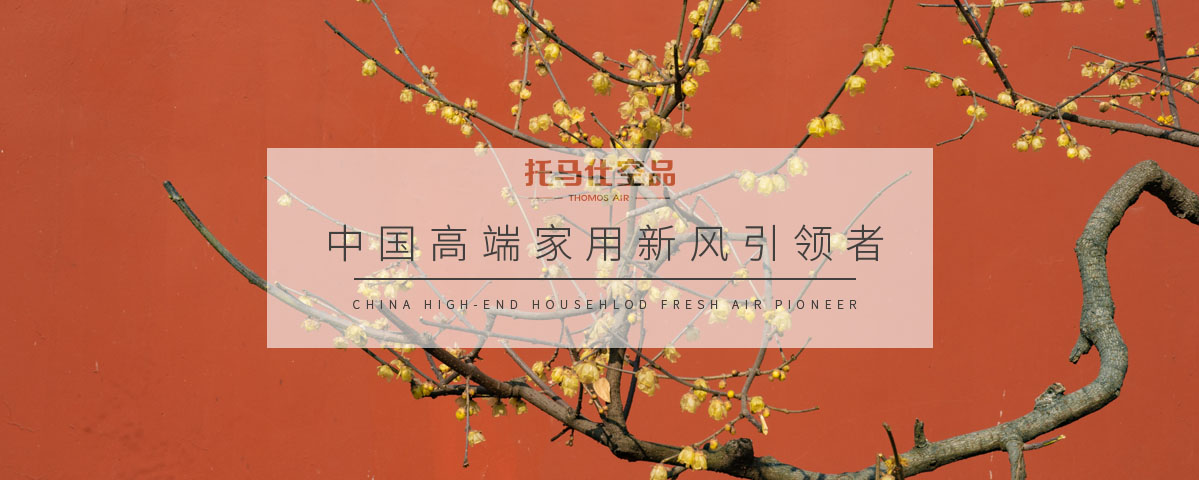 正版资料全年资料大全