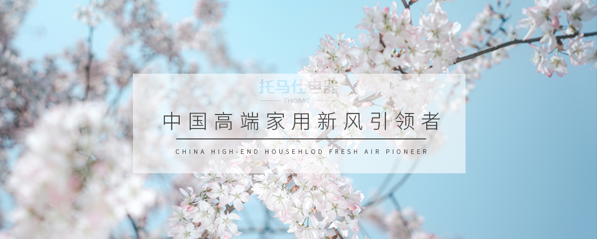 正版资料全年资料大全