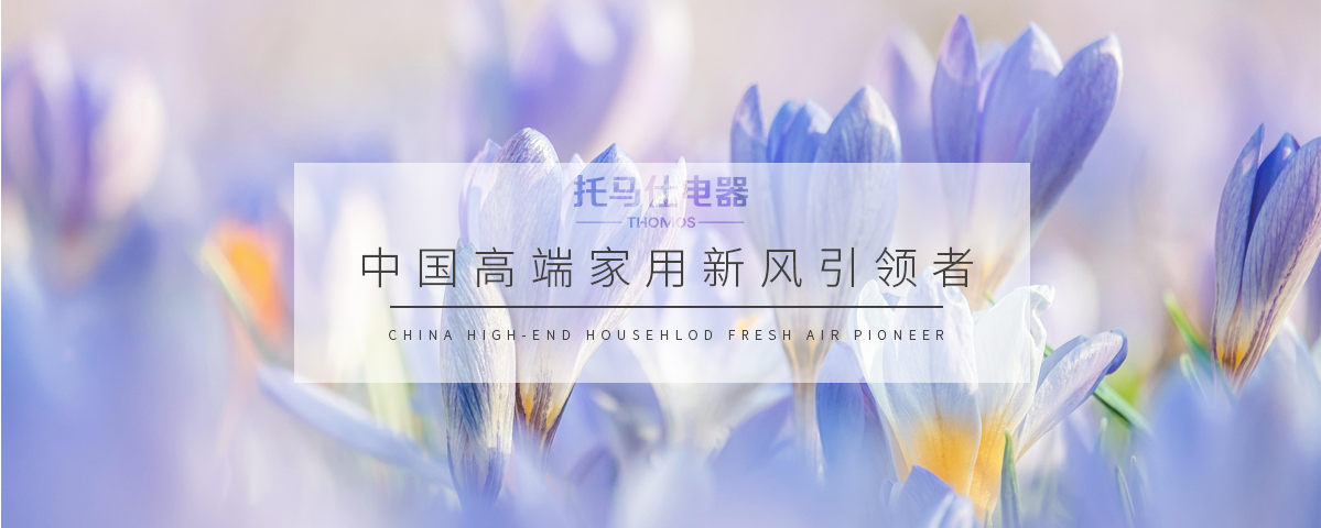 正版资料全年资料大全