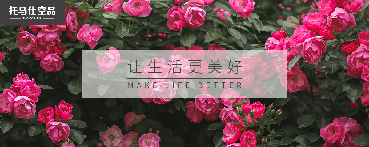 正版资料全年资料大全