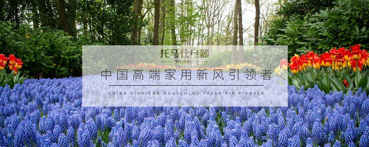 正版资料全年资料大全