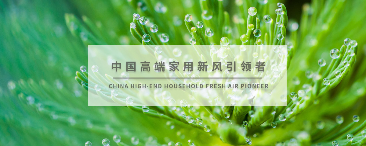 正版资料全年资料大全