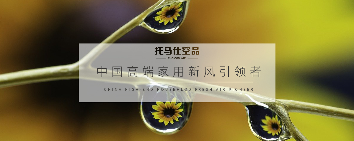 正版资料全年资料大全