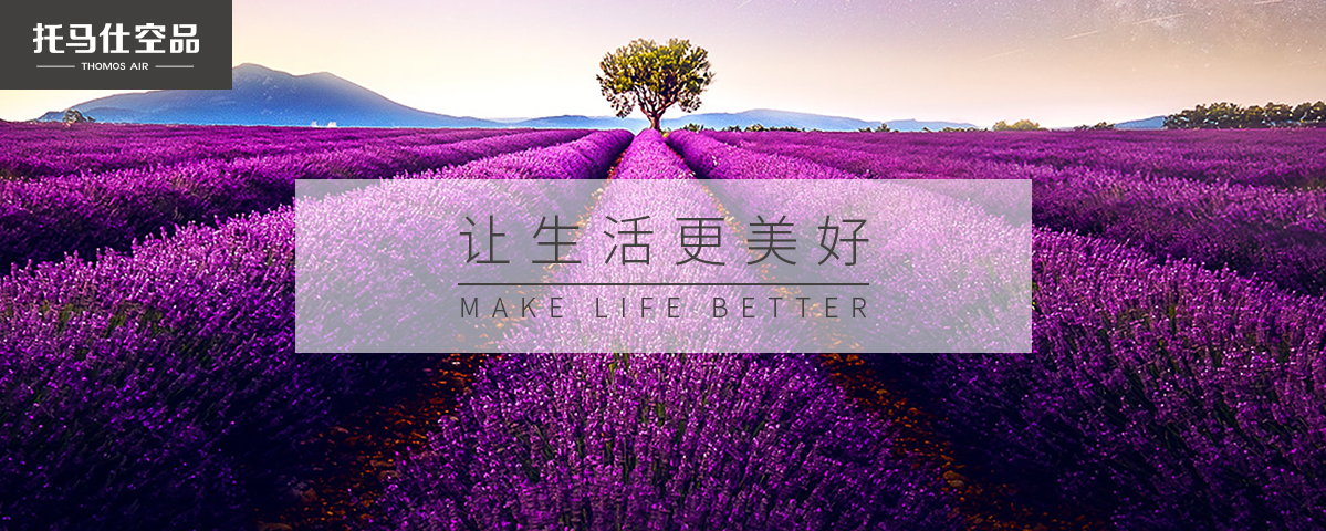 正版资料全年资料大全