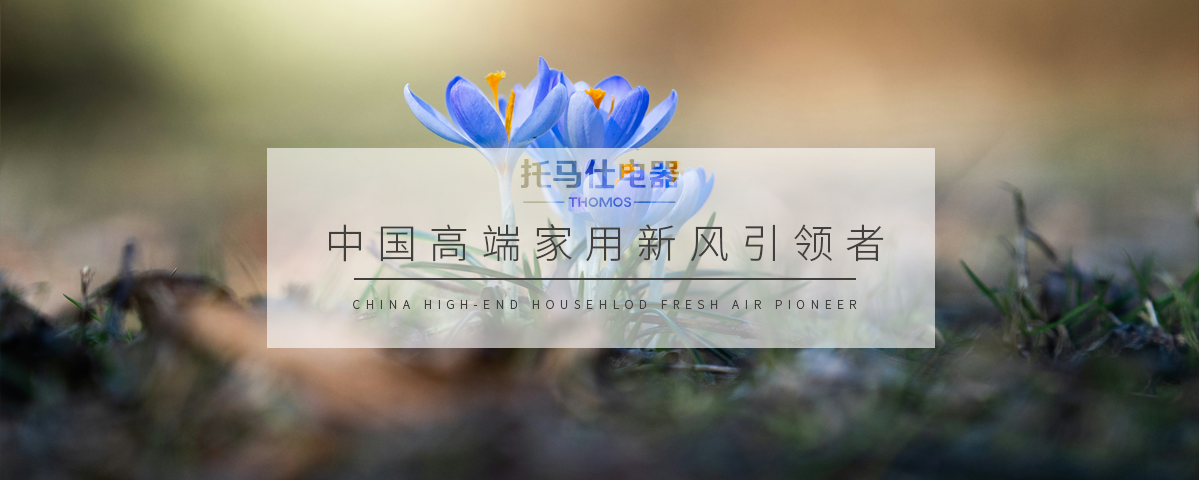 正版资料全年资料大全