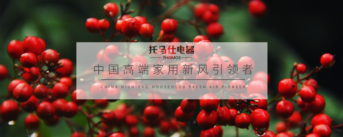 正版资料全年资料大全