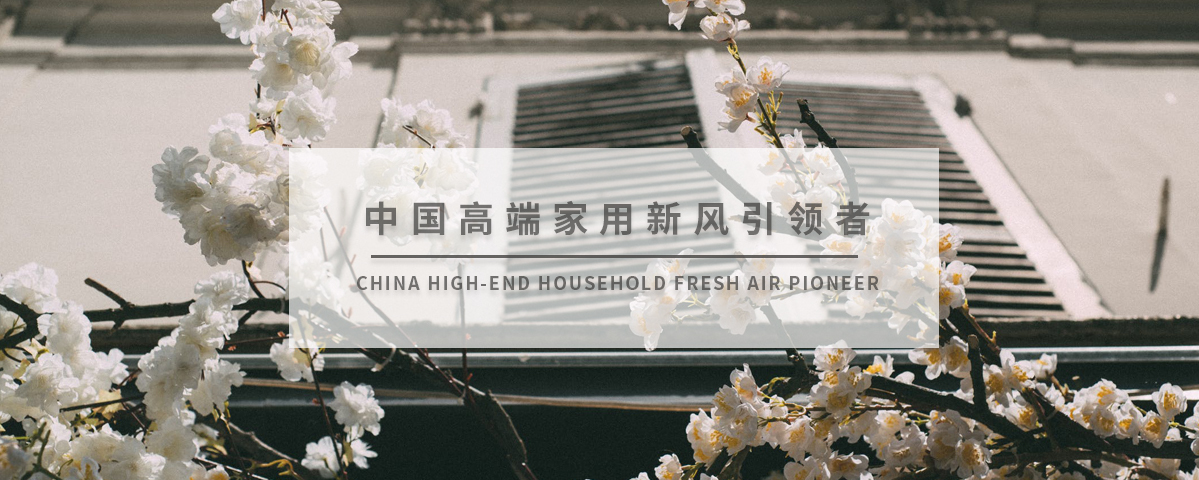 正版资料全年资料大全