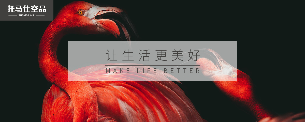 正版资料全年资料大全