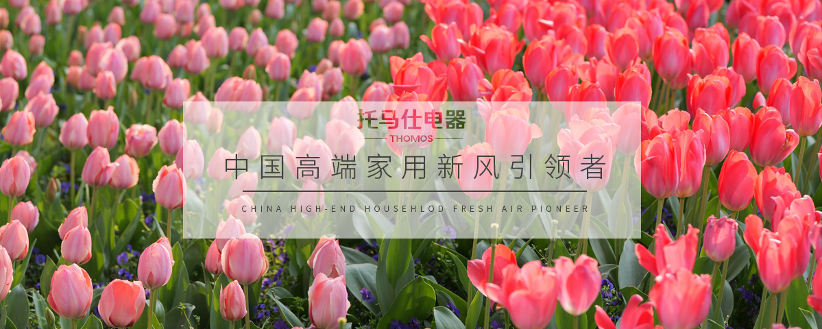 正版资料全年资料大全