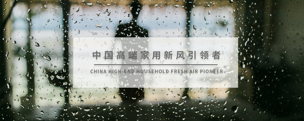 正版资料全年资料大全