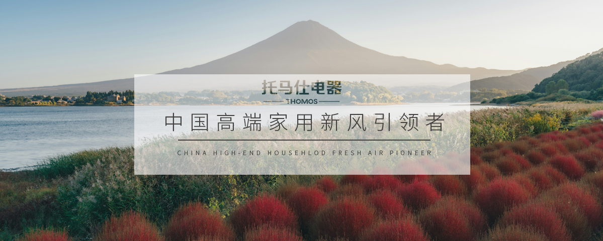 正版资料全年资料大全