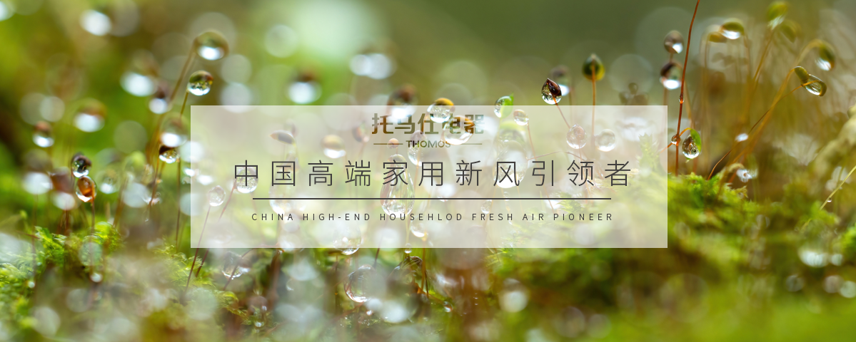 正版资料全年资料大全
