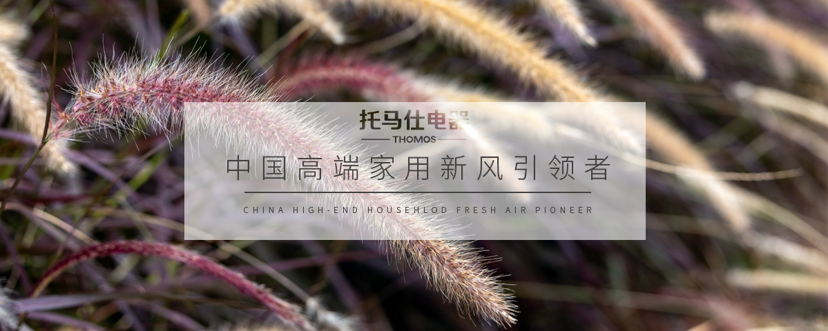 正版资料全年资料大全