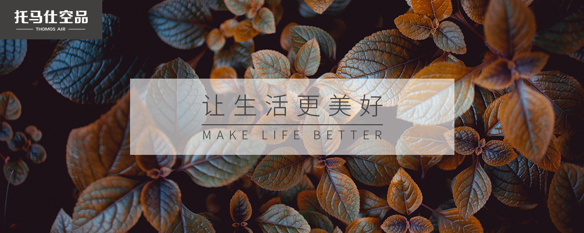 正版资料全年资料大全
