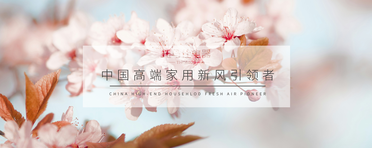 正版资料全年资料大全