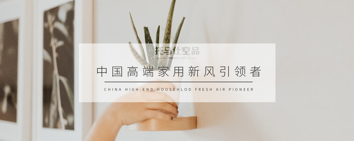 正版资料全年资料大全