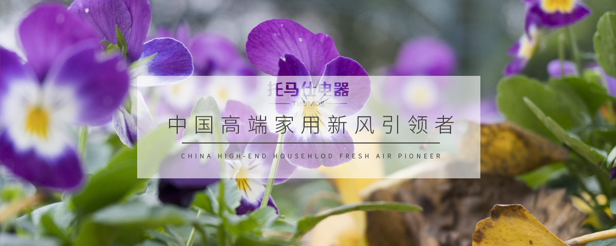 正版资料全年资料大全