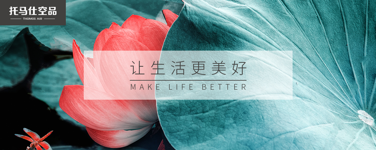 正版资料全年资料大全