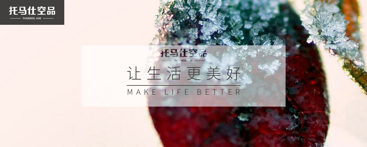 正版资料全年资料大全
