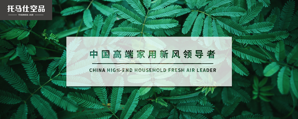 正版资料全年资料大全