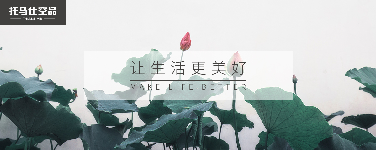 正版资料全年资料大全