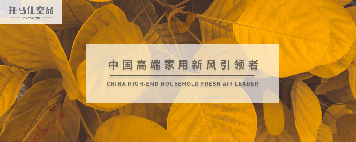 正版资料全年资料大全