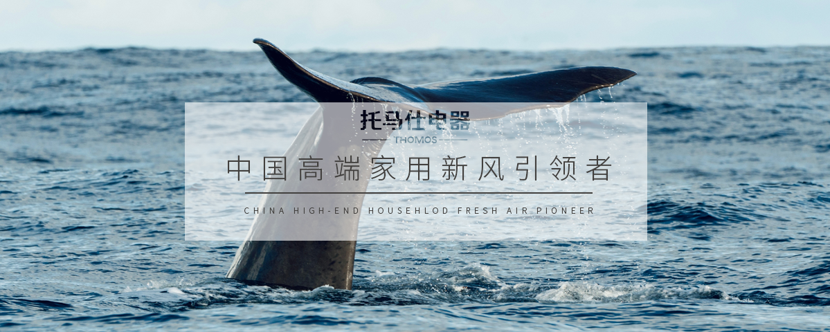 正版资料全年资料大全