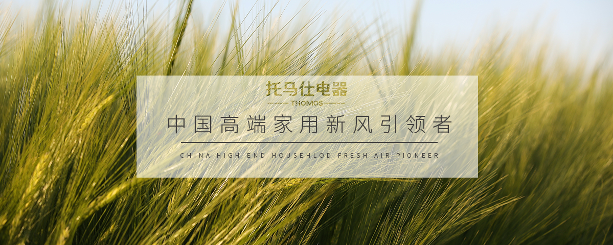 正版资料全年资料大全