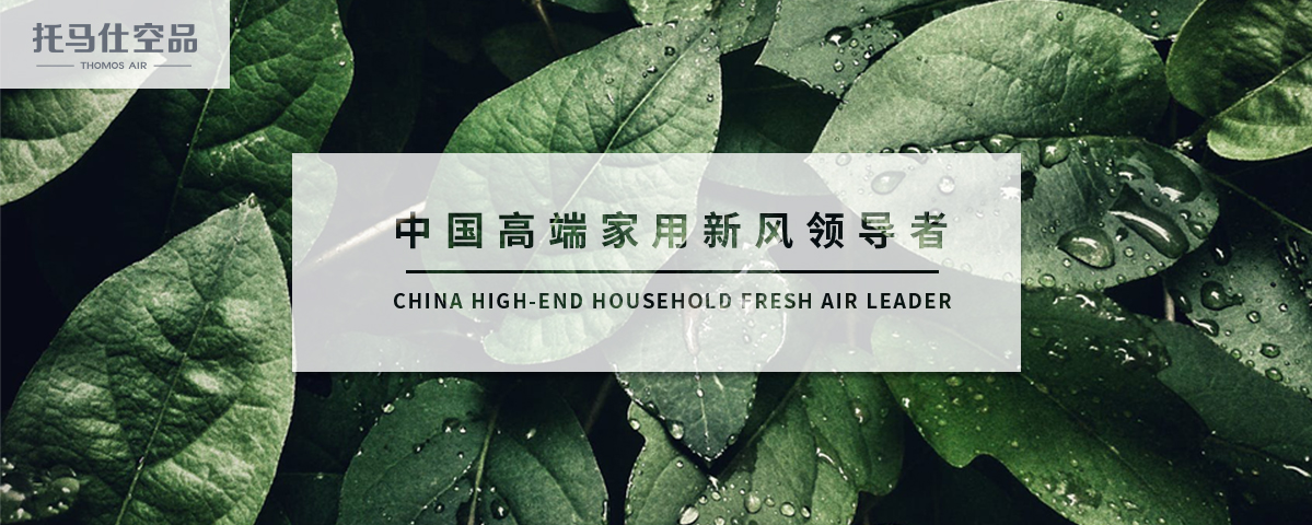正版资料全年资料大全