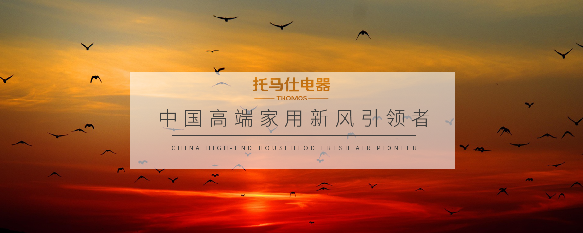 正版资料全年资料大全