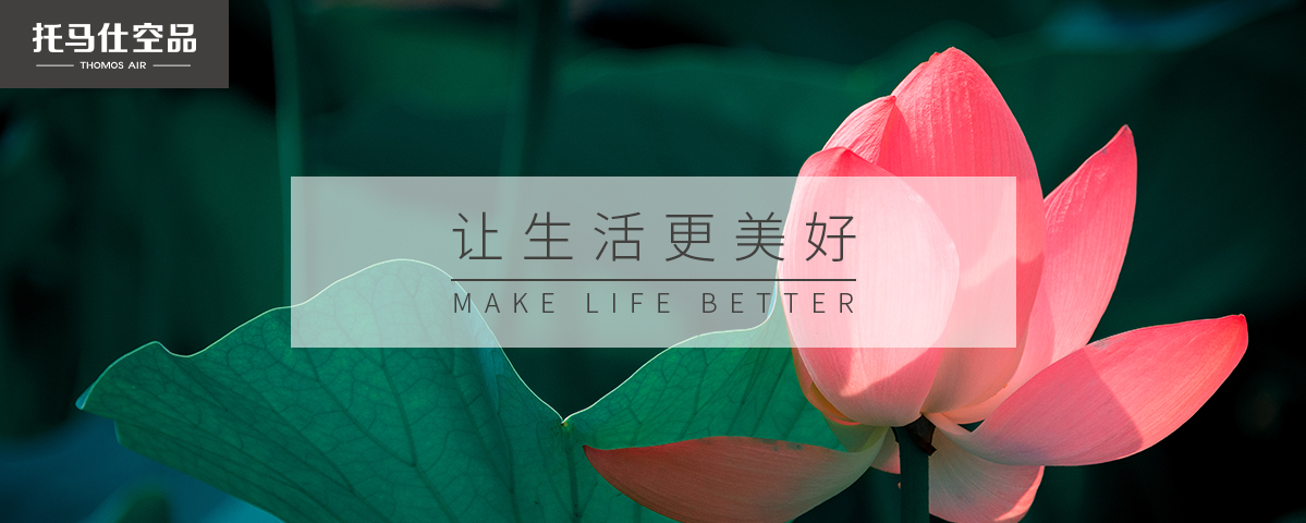 正版资料全年资料大全