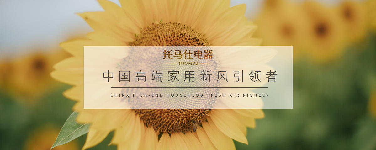 正版资料全年资料大全