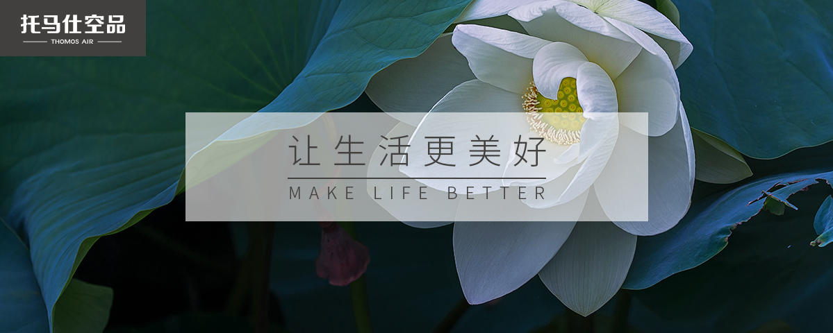 正版资料全年资料大全