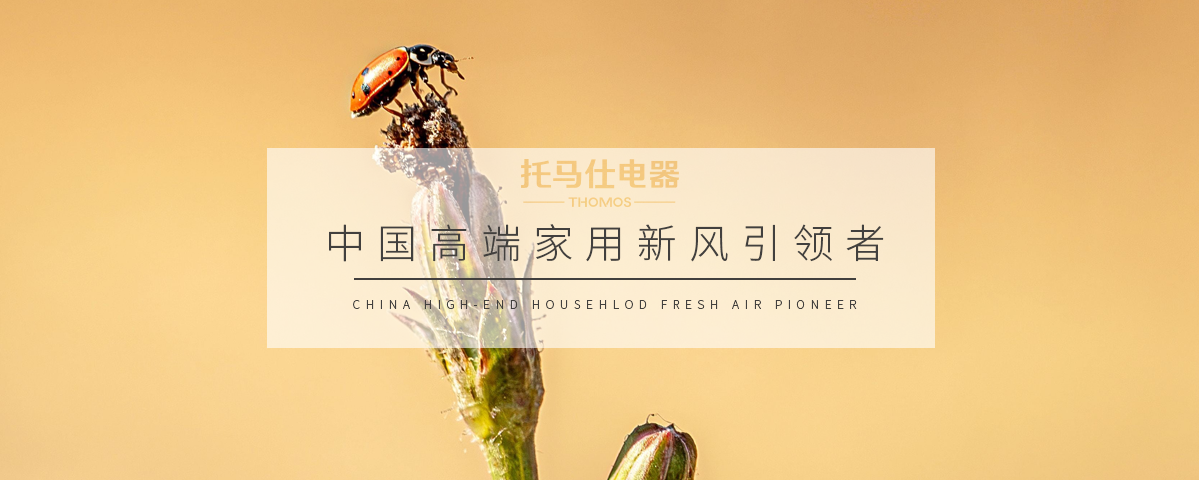 正版资料全年资料大全