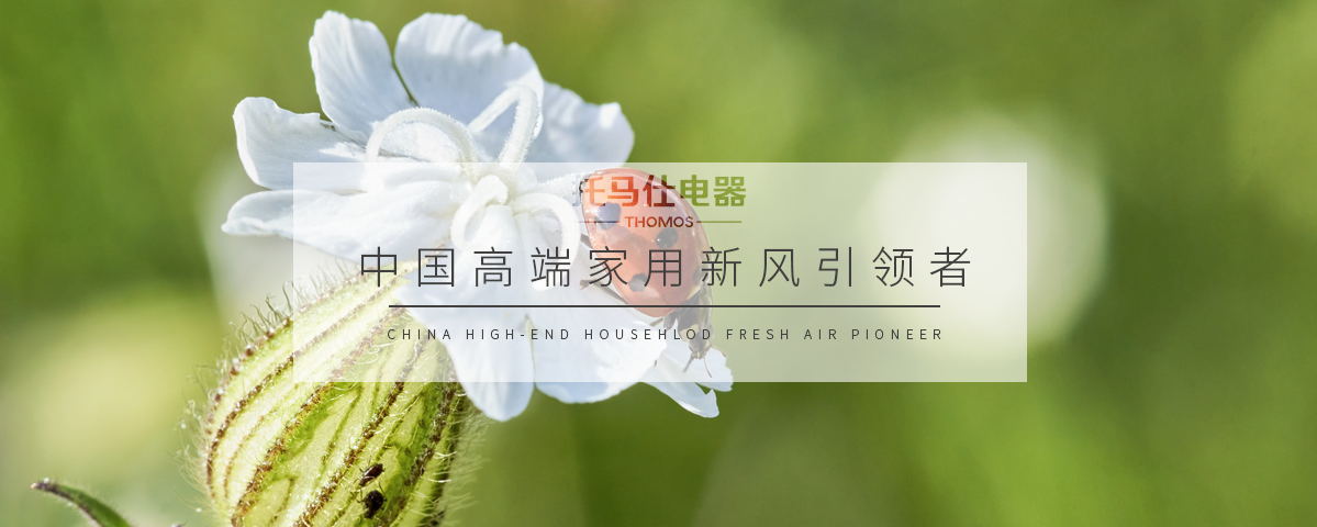 正版资料全年资料大全