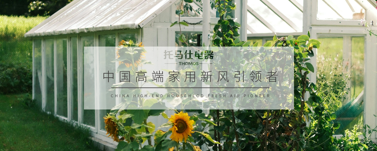 正版资料全年资料大全