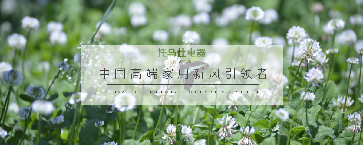 正版资料全年资料大全