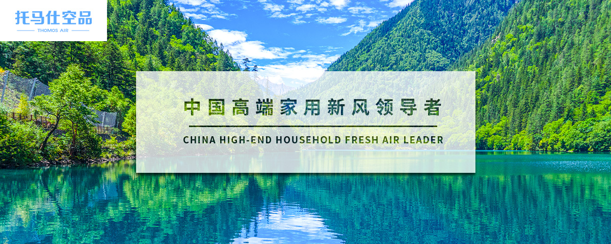 正版资料全年资料大全