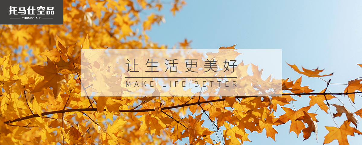 正版资料全年资料大全