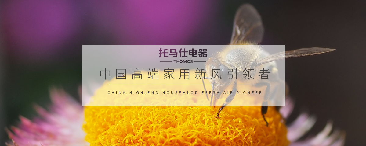正版资料全年资料大全
