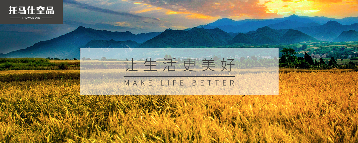 正版资料全年资料大全