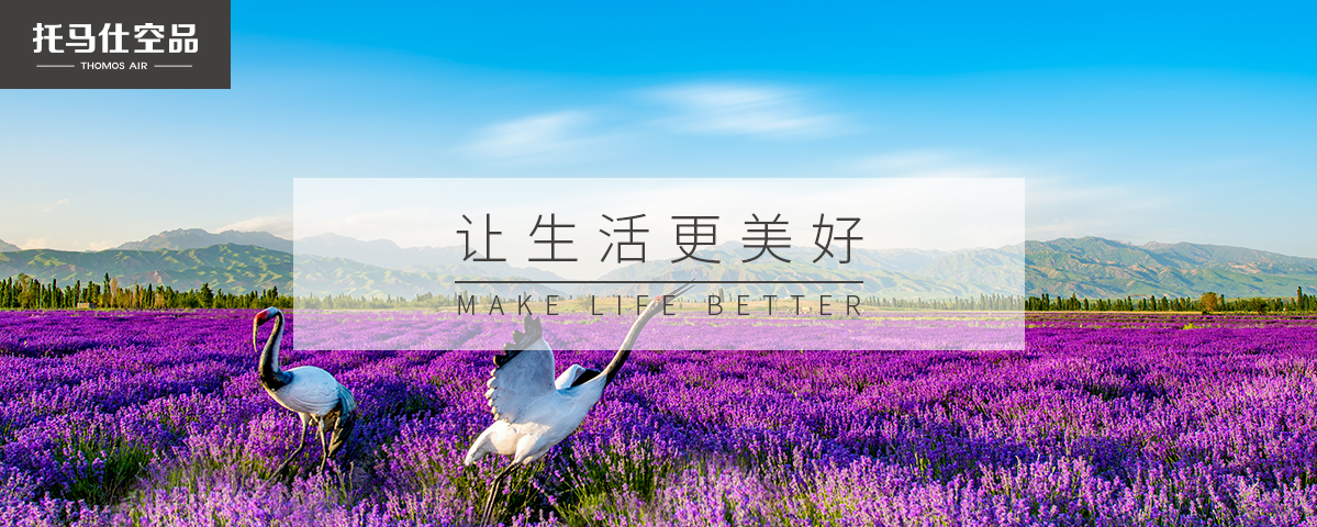 正版资料全年资料大全