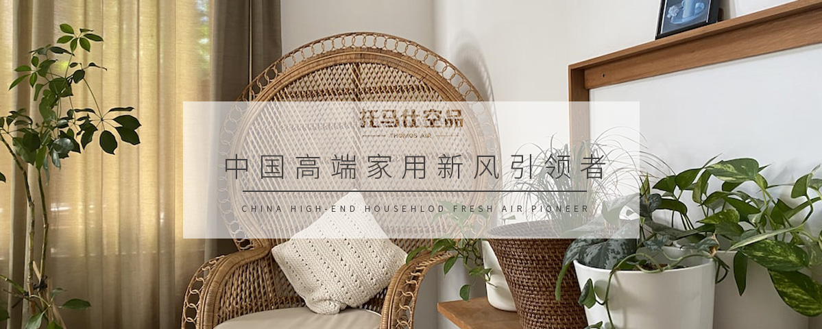 正版资料全年资料大全