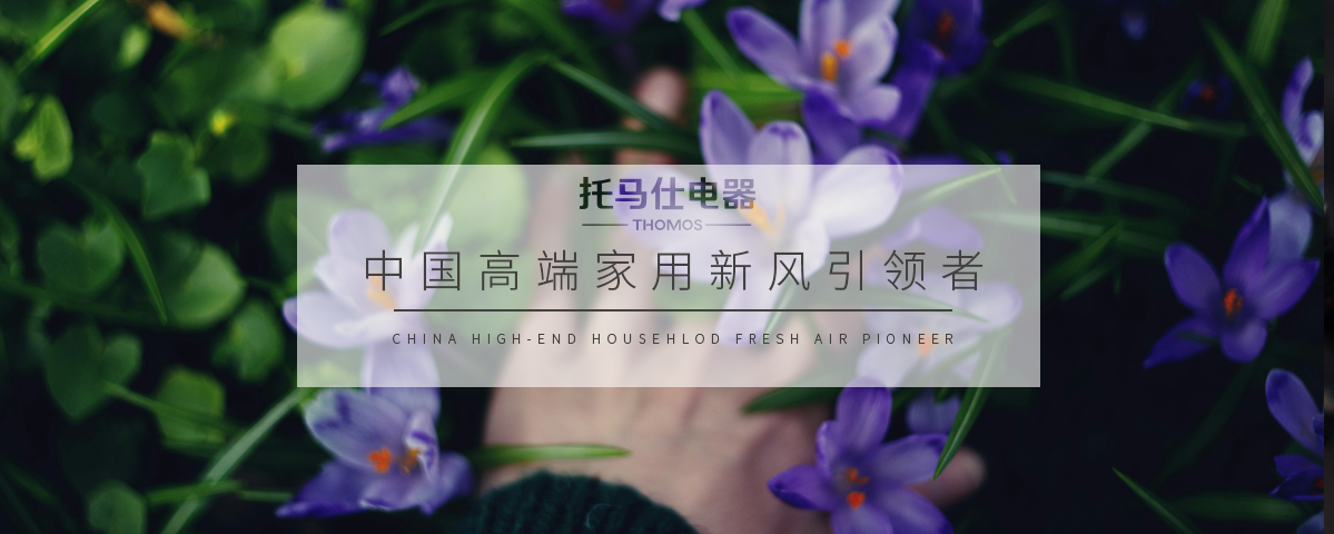 正版资料全年资料大全