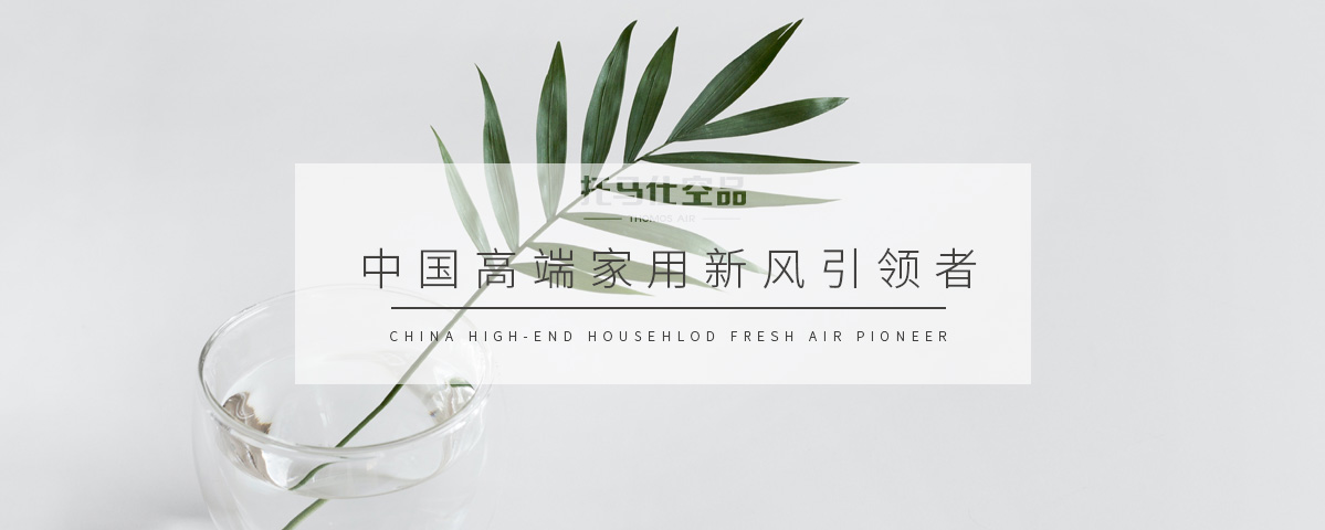 正版资料全年资料大全