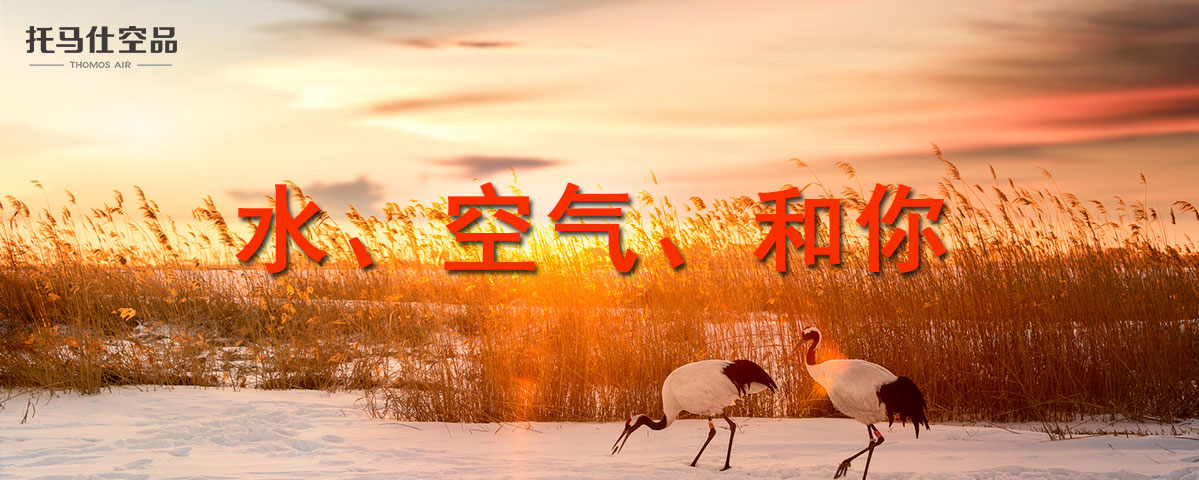 正版资料全年资料大全