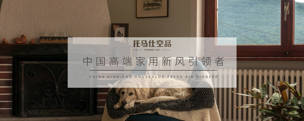 正版资料全年资料大全