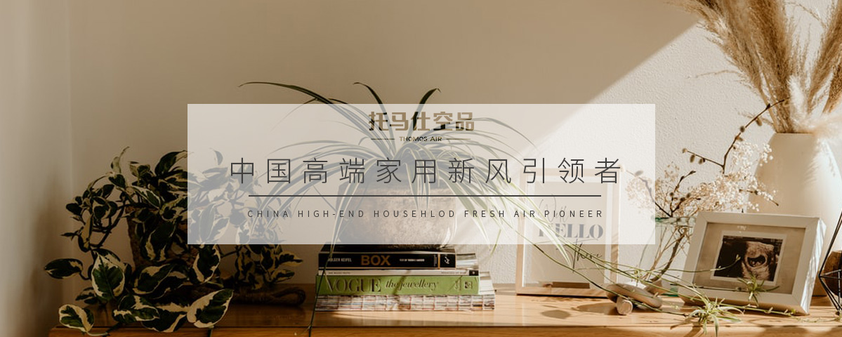 正版资料全年资料大全