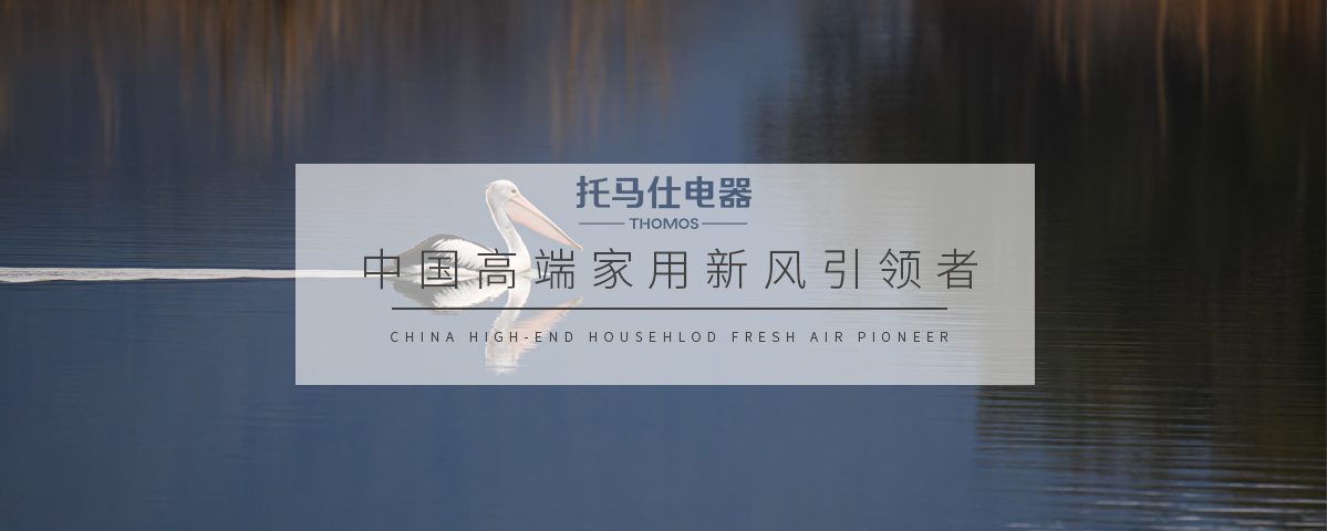 正版资料全年资料大全
